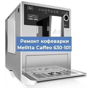 Замена прокладок на кофемашине Melitta Caffeo 630-101 в Ижевске